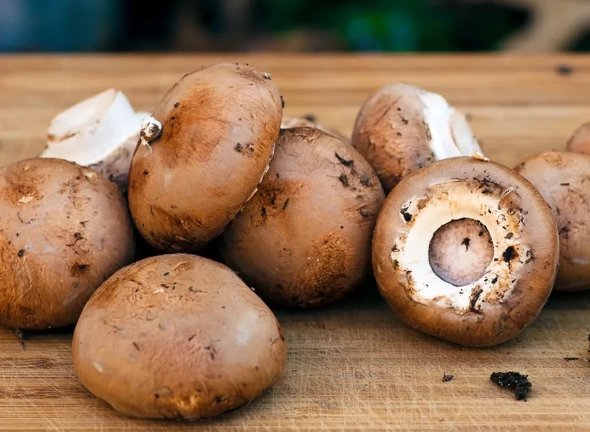 Thuc-pham-giau-vitamin-D-tot-cho-he-mien-dich-va-suc-khoe-xuong-nam.jpg