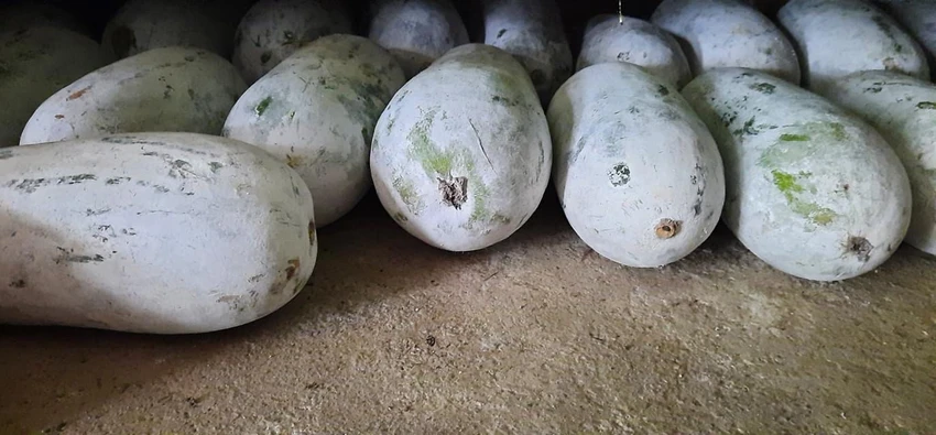 10 loại rau ít carb tốt nhất để giảm cân.jpg