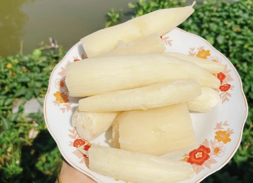 Bất ngờ với lợi ích sức khỏe khi ăn sắn.jpg