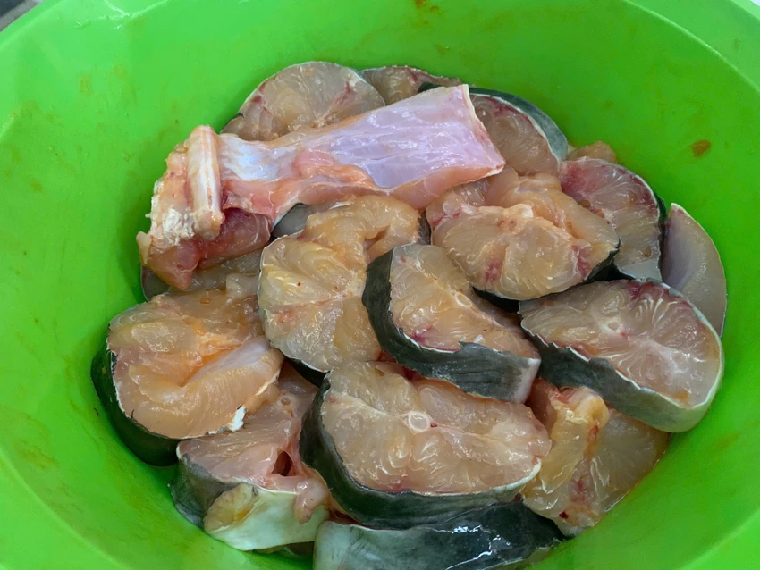Protein động vật và thực vật: Loại nào tốt hơn cho sức khỏe?.jpg