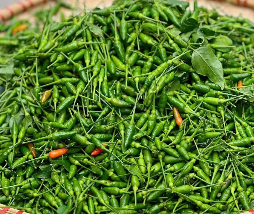 Ăn ớt xanh giúp tăng cường sức khỏe diệu kỳ.jpg