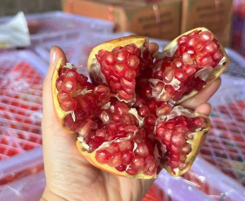 Tám loại thực phẩm giàu chất xơ hỗ trợ cân bằng đường huyết.jpg