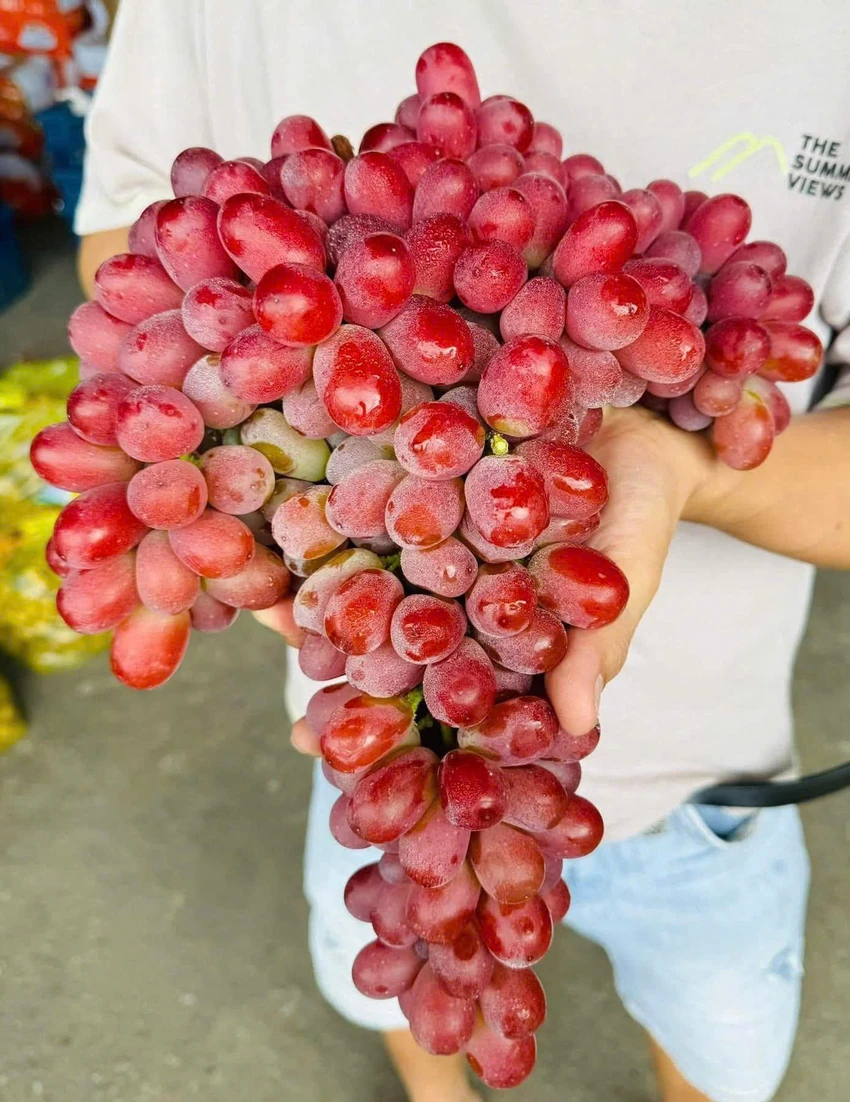 9 lợi ích tuyệt vời của việc ăn nho thường xuyên đối với sức khỏe.jpg