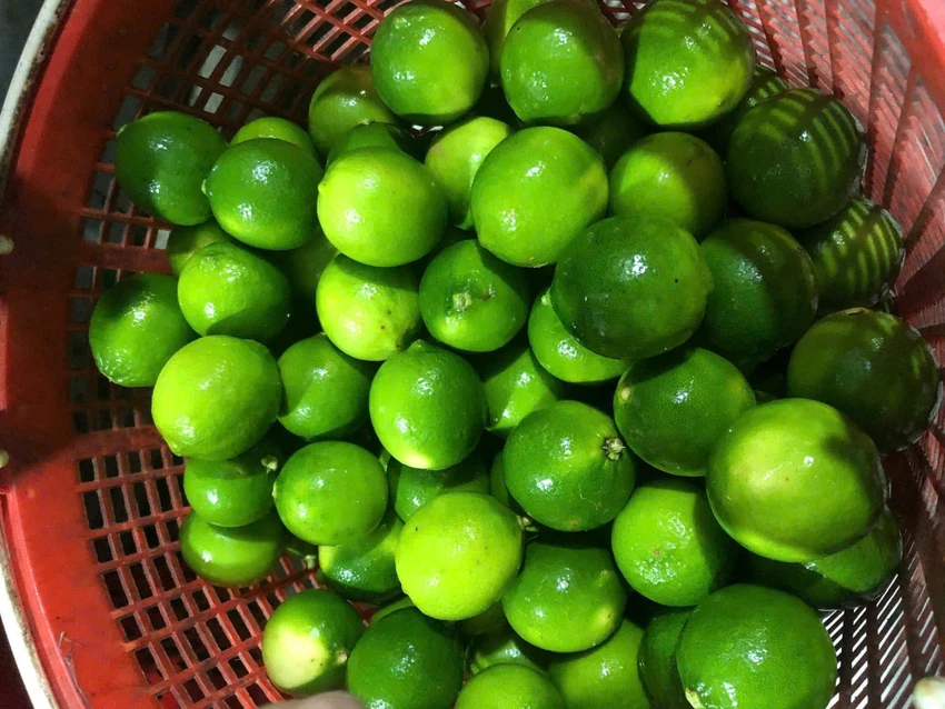 Vo-chanh-1.jpg