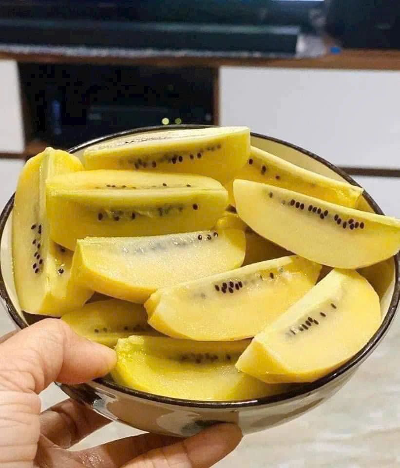 Qua-kiwi-1.jpg