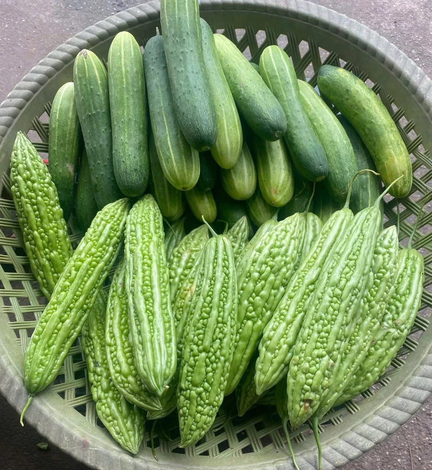 Thuc-pham-co-vi-dang-1.jpg