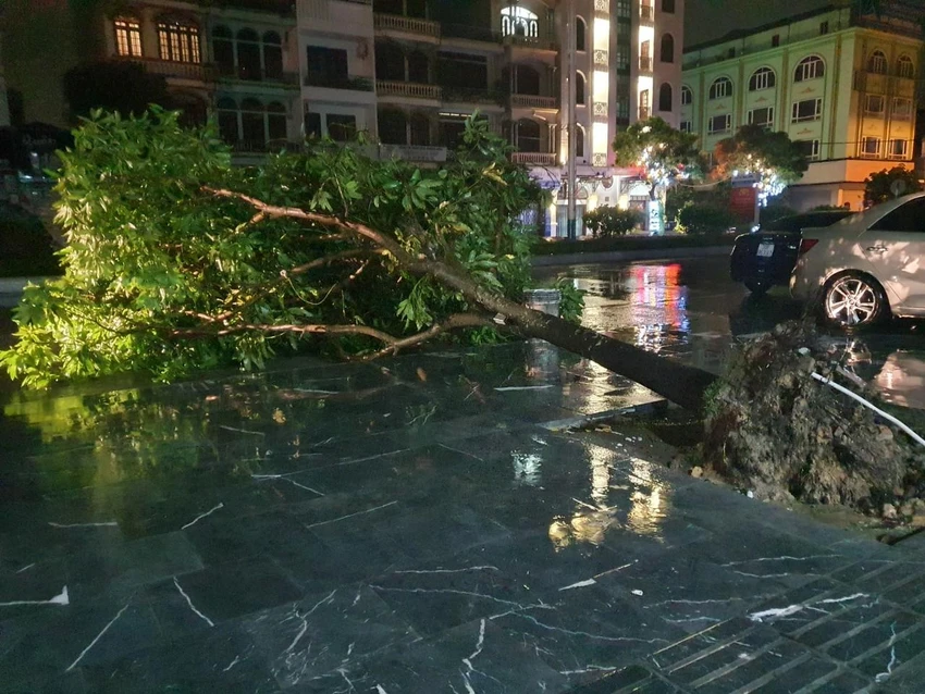 Tại phường Hải Hòa cũng có nhiều cây đổ ngang ra đường. Ảnh LÊ ĐỒNG Tại phường Hải Hòa cũng có nhiều cây đổ ngang ra đường. Ảnh LÊ ĐỒNG
