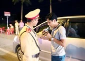 Tết Canh Tý 2020, người Việt tìm gì trên mạng? 