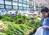 Cải cách thể chế, nhìn từ cách 'quản lý hồ bơi'