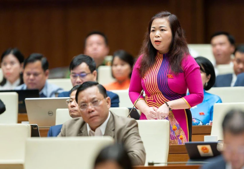 Đại biểu Vũ Thị Lưu Mai cho rằng tư duy nhiệm kỳ gây ra lãng phí đất đai. Ảnh: PT Đại biểu Vũ Thị Lưu Mai cho rằng tư duy nhiệm kỳ gây ra lãng phí đất đai. Ảnh: PT