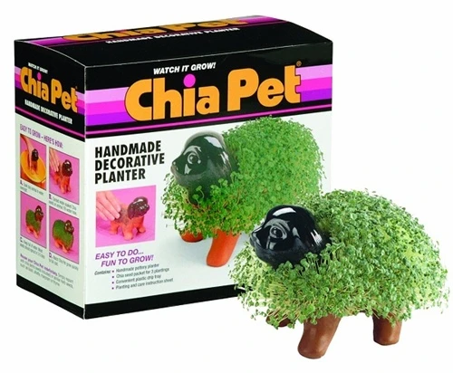 10 món đồ kỳ lạ bán chạy nhất tại Mỹ (7)