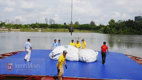 Chú vịt vàng khổng lồ đã tới Việt Nam ảnh 1