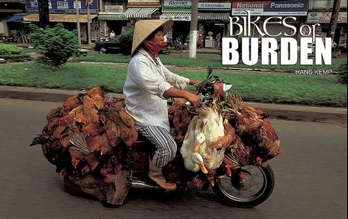 Những kiểu chở hàng chỉ có ở Việt Nam dưới mắt người nước ngoài ảnh 11 - 11