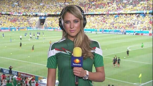 Những nữ phóng viên xinh ngất ngây tại World Cup 2014 ảnh 10