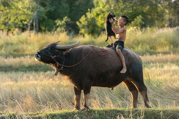Chùm ảnh tuyệt đẹp về tuổi thơ của trẻ em trên toàn thế giới ảnh 18