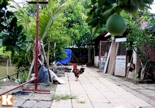 Khám phá nông trang 10.000m2 của Giang Còi ảnh 26 - 26