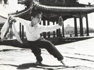 Lý Liên Kiệt từng được tổng thống Mỹ mời làm vệ sĩ riêng ảnh 5 - 5