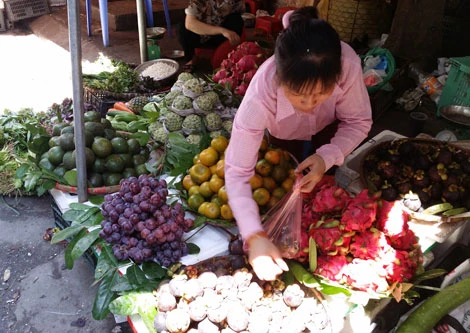 Ai 'tiếp tay' cho hoa quả độc Trung Quốc thoải mái tuồn vào Việt Nam? ảnh 1 Ai 'tiếp tay' cho hoa quả độc Trung Quốc thoải mái tuồn vào Việt Nam? ảnh 1