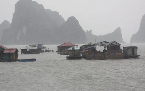 bão; Vân Đồn; Quảng Ninh bão; Vân Đồn; Quảng Ninh