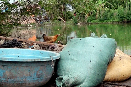 Ruồi nhặng bu đầy trên những bao chất thải và đồ đạc để gần. Ảnh:Duy Trần o-tieu-chay-8353-1408839368.jpg
