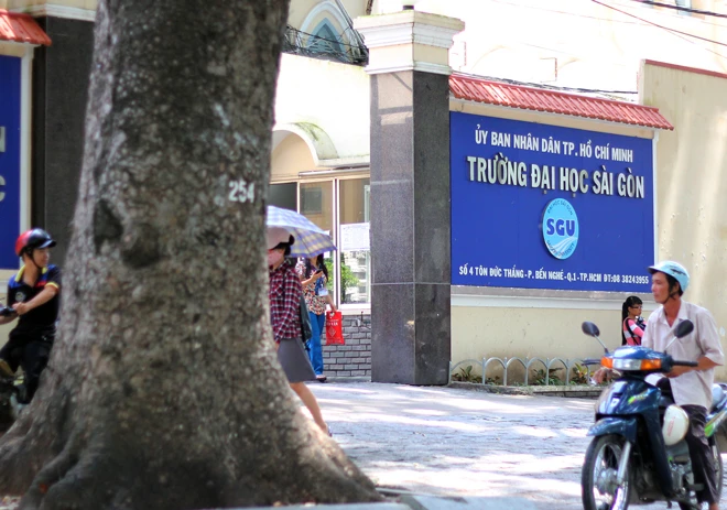 Hot: Sài Gòn lại sắp chia tay hàng cây trăm tuổi ảnh 8
