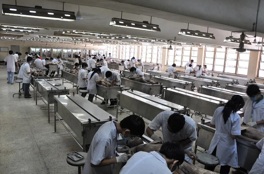 Khi sinh viên y khoa học môn… giải phẫu học ảnh 1