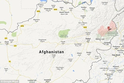 Hươu ma cà rồng cực hiếm tái xuất hiện ở Afghanistan ảnh 3 - 3