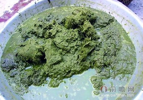 phân-bò phân-bò