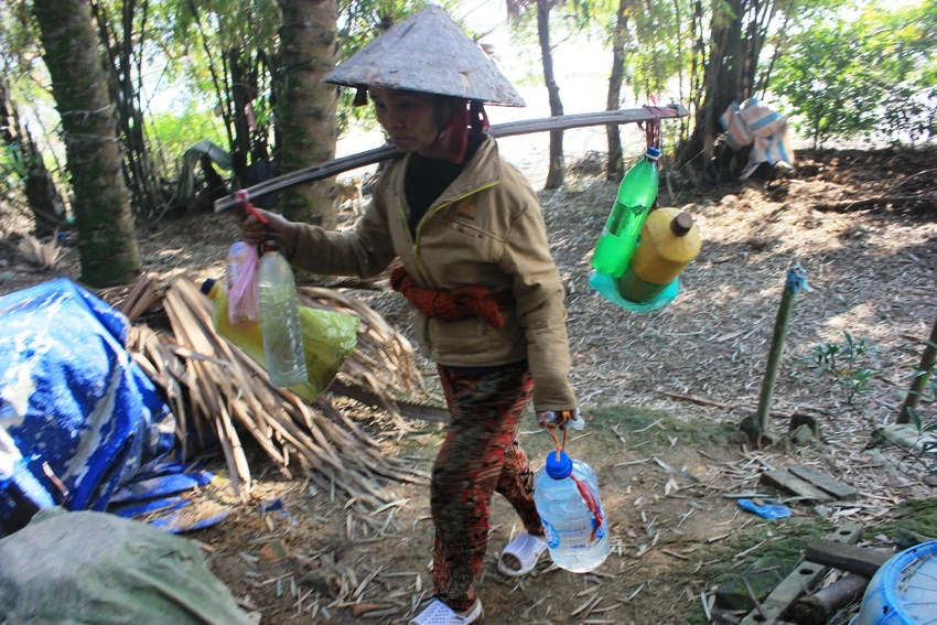 Đôi vợ chồng hơn 40 năm sống ẩn dật như “người rừng” ảnh 4 Đôi vợ chồng hơn 40 năm sống ẩn dật như “người rừng” ảnh 4