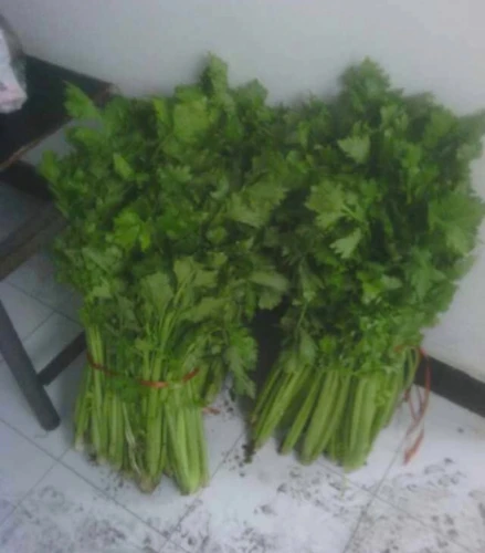 Những kiểu thưởng Tết lạ đời của sếp gây sốc nhân viên ảnh 3 Những kiểu thưởng Tết lạ đời của sếp gây sốc nhân viên ảnh 3