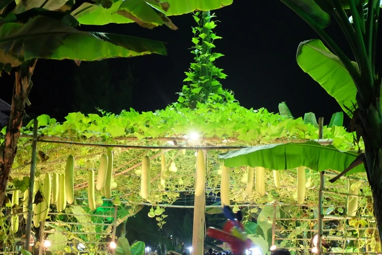 Du xuân ngắm 'làng quê' ở hội hoa xuân Phú Mỹ Hưng ảnh 20 Du xuân ngắm 'làng quê' ở hội hoa xuân Phú Mỹ Hưng ảnh 20