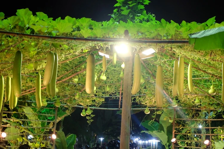 Du xuân ngắm 'làng quê' ở hội hoa xuân Phú Mỹ Hưng ảnh 21 Du xuân ngắm 'làng quê' ở hội hoa xuân Phú Mỹ Hưng ảnh 21
