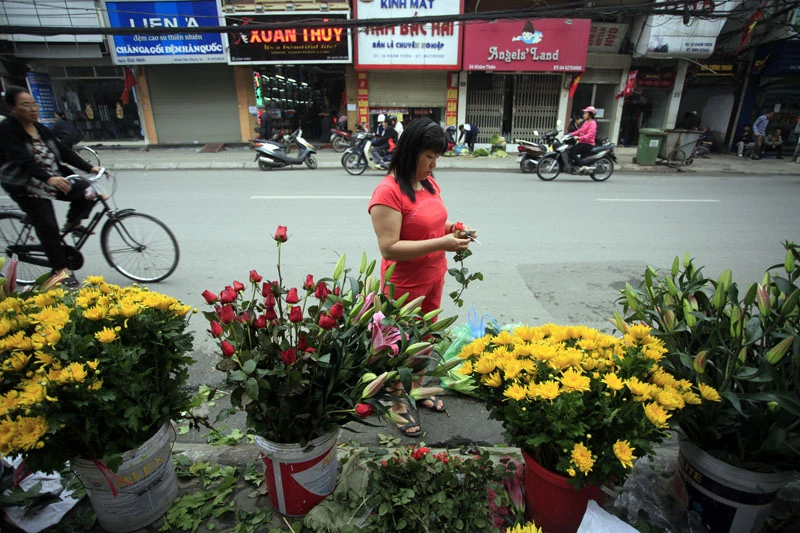 mùa xuân, hồ gươm, Hà Nội, 30 Tết, du xuân, Thủ đô mùa xuân, hồ gươm, Hà Nội, 30 Tết, du xuân, Thủ đô