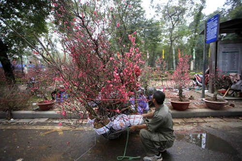 mùa xuân, hồ gươm, Hà Nội, 30 Tết, du xuân, Thủ đô mùa xuân, hồ gươm, Hà Nội, 30 Tết, du xuân, Thủ đô
