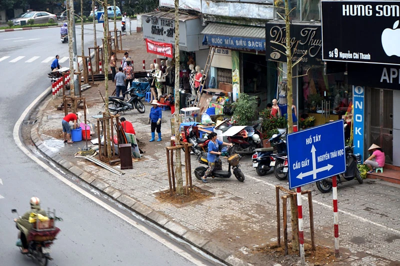 cây xanh; 6.700 cây; Hà Nội; chặt hạ