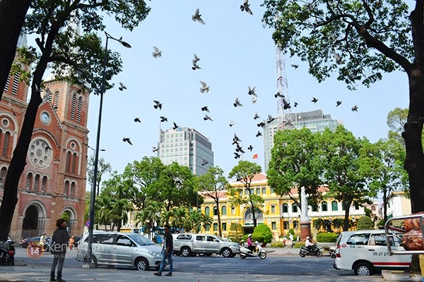 Chuyện về đàn chim bồ câu nổi tiếng ở nhà thờ Đức Bà Sài Gòn ảnh 1