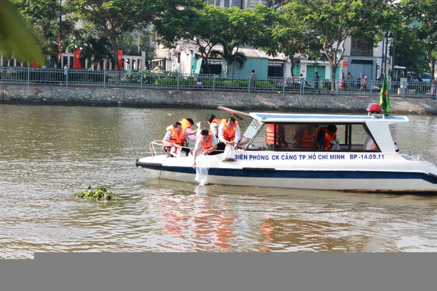 Thả nửa triệu con cá giống xuống kênh Tàu Hũ - Bến Nghé