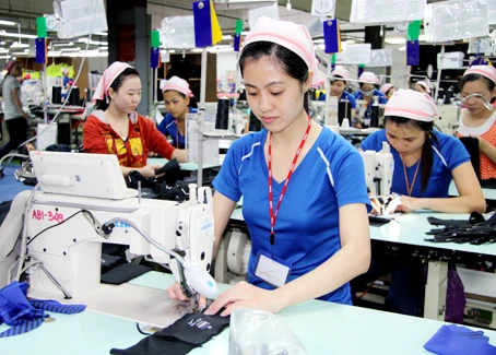 Mới: Người lao động bị tai nạn được hỗ trợ chuyển đổi công việc ảnh 1 Mới: Người lao động bị tai nạn được hỗ trợ chuyển đổi công việc ảnh 1