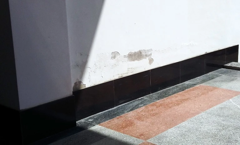 Mối và nước mưa ‘tấn công’ tòa nhà 200 tỉ đồng ảnh 5 Mối và nước mưa ‘tấn công’ tòa nhà 200 tỉ đồng ảnh 5