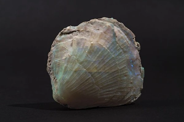 150823opal10-f34f6