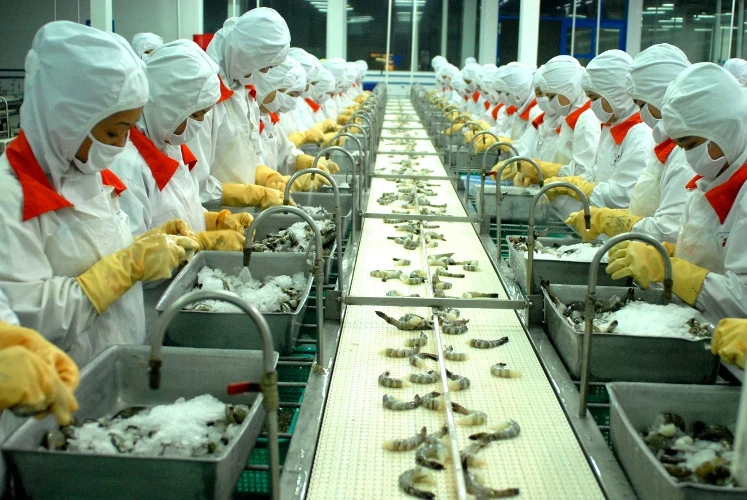 Trường hợp không xử lý kỷ luật đối với người lao động ảnh 1 Trường hợp không xử lý kỷ luật đối với người lao động ảnh 1