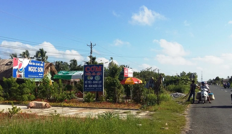 Xe tải chạy rớt… năm con heo tạ xuống đường mà không hay biết ảnh 2 Xe tải chạy rớt… năm con heo tạ xuống đường mà không hay biết ảnh 2