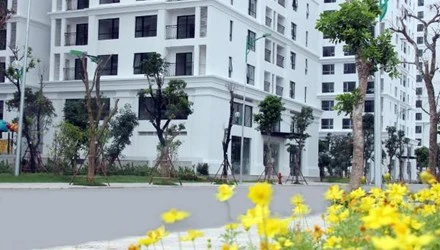 Chủ hộ tái định cư được mua thêm một căn tại cùng địa điểm ảnh 1