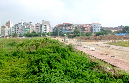 Mới: Miễn, giảm tiền sử dụng đất trong trường hợp đấu giá ảnh 1 Mới: Miễn, giảm tiền sử dụng đất trong trường hợp đấu giá ảnh 1