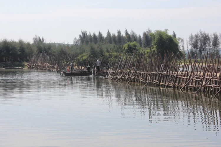 Đập bổi trên sông Trà Bồng thuộc địa phận xã Bình Dương.