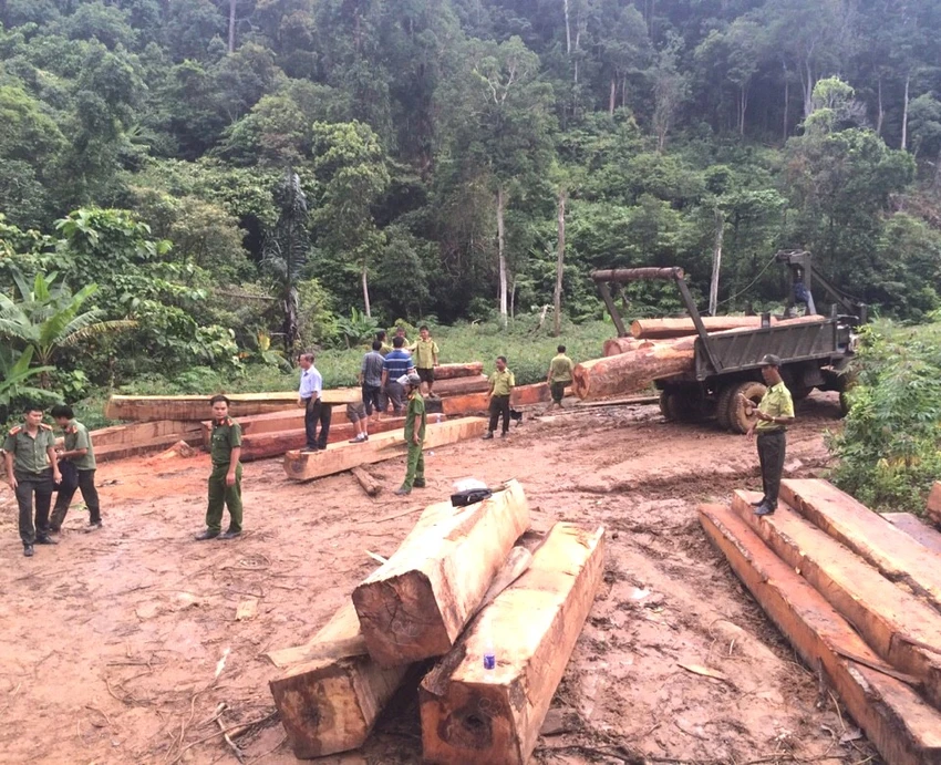 Hiện trường bãi tập kết gỗ bị phát hiện