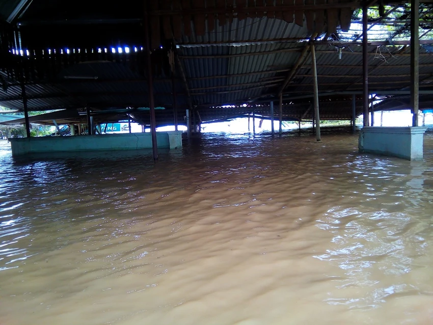 Quảng Trị: Lũ về bất ngờ nhà dân chìm trong biển nước ảnh 2