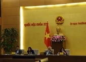 Thầy giáo cũng xâm hại học sinh