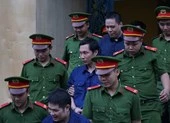 'Tôi không đủ tư cách tham gia cuộc chơi lớn như vậy'