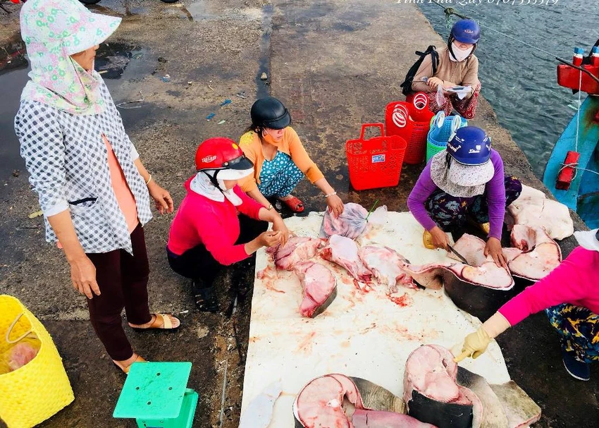 Dân thích thú với thịt cá mập giá 50 ngàn/kg ảnh 4 Dân thích thú với thịt cá mập giá 50 ngàn/kg ảnh 4